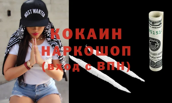 соль ск Дмитров