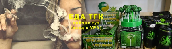 скорость Ельня