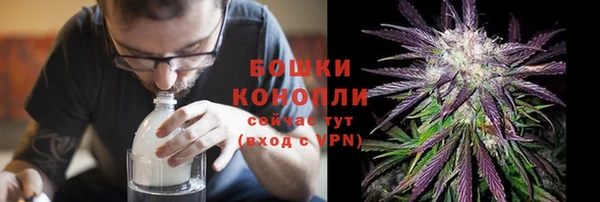 соль ск Дмитров