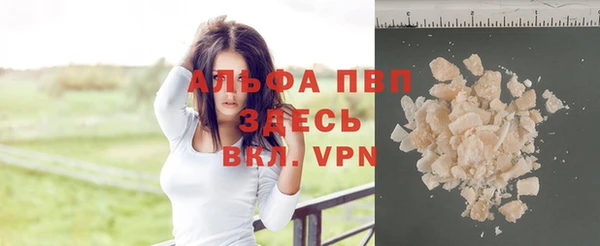 PSILOCYBIN Дмитриев