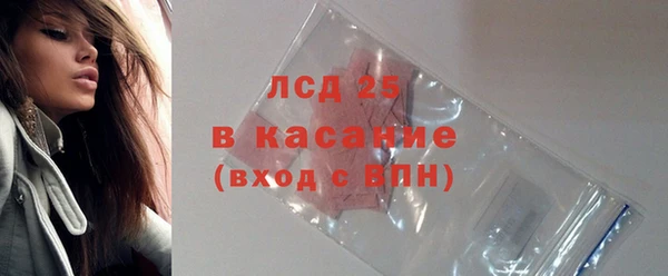 PSILOCYBIN Дмитриев
