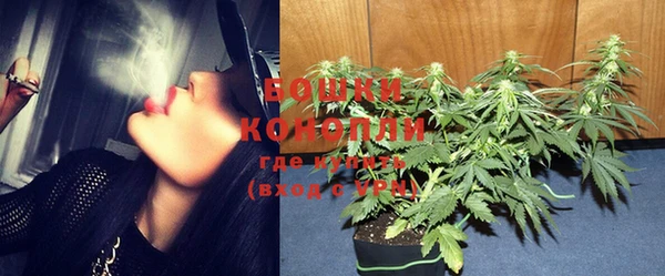 PSILOCYBIN Дмитриев